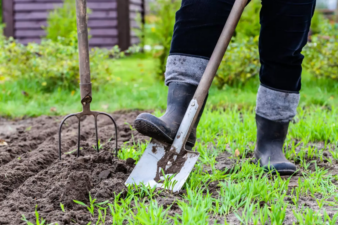 Quand les notaires plantent des salades pour, selon eux, protéger les intérêts de leurs&nbsp;clients