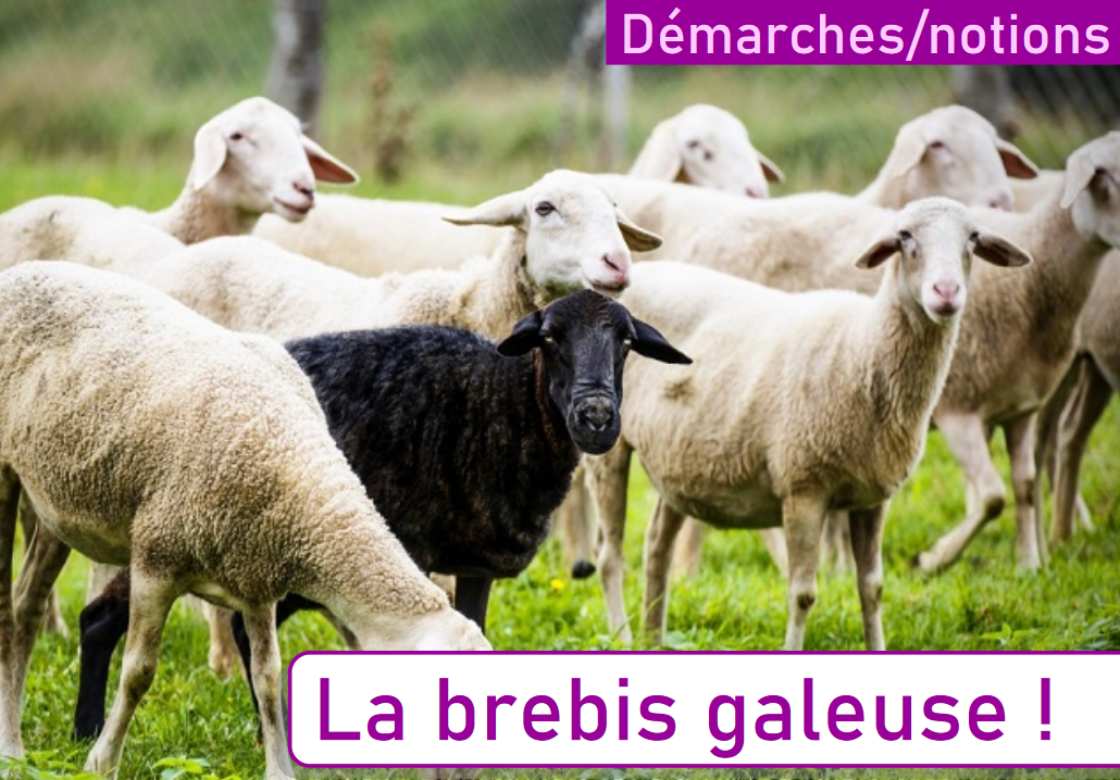 Détournement de milliers d’euros lors de successions par un&nbsp;notaire