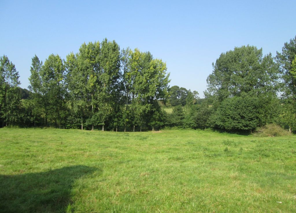 Maison sur terrain non constructible : un acheteur piégé un an après la&nbsp;signature